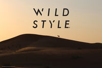 20X30 NATURE POSTER - ANTELOPE