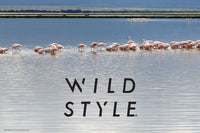 20X30 NATURE POSTER - FLAMINGOS