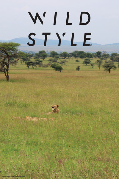 30X20 NATURE POSTER - LIONESS