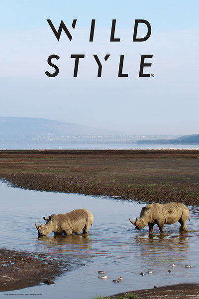 30X20 NATURE POSTER – RHINOS